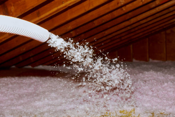Trusted Kelso, WA Insulation Contractor Experts